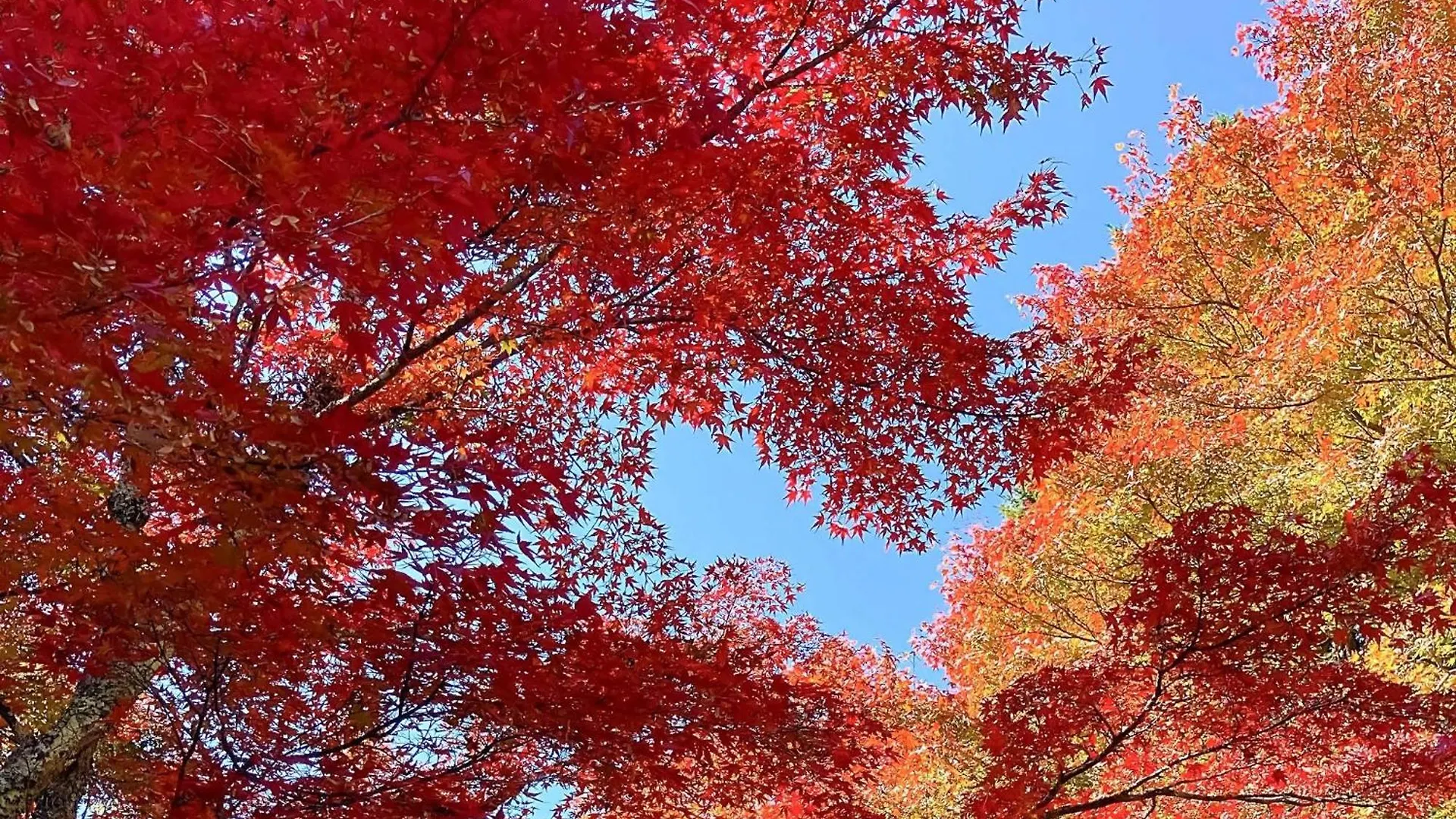 Сasa de vacaciones Hakone Doma - Vacation Stay 50247V