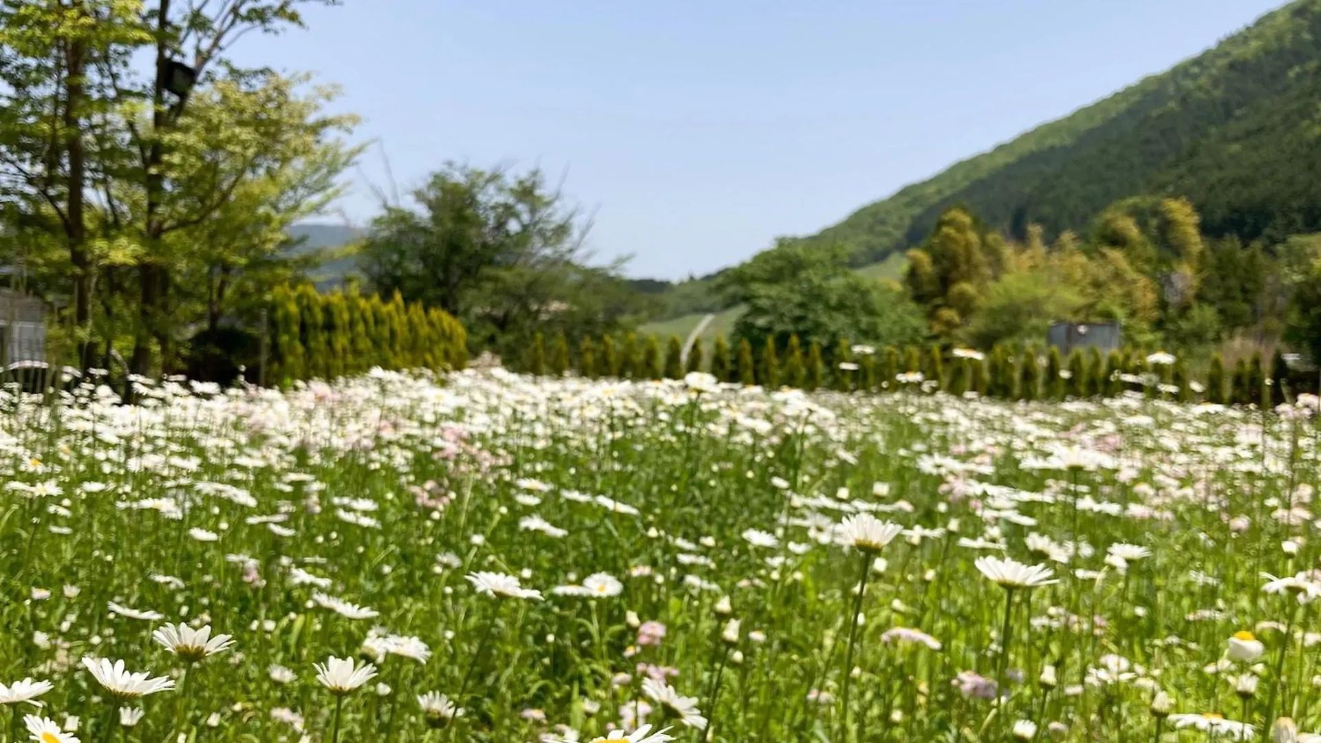 Hakone Doma - Vacation Stay 50247V Tatil Evi