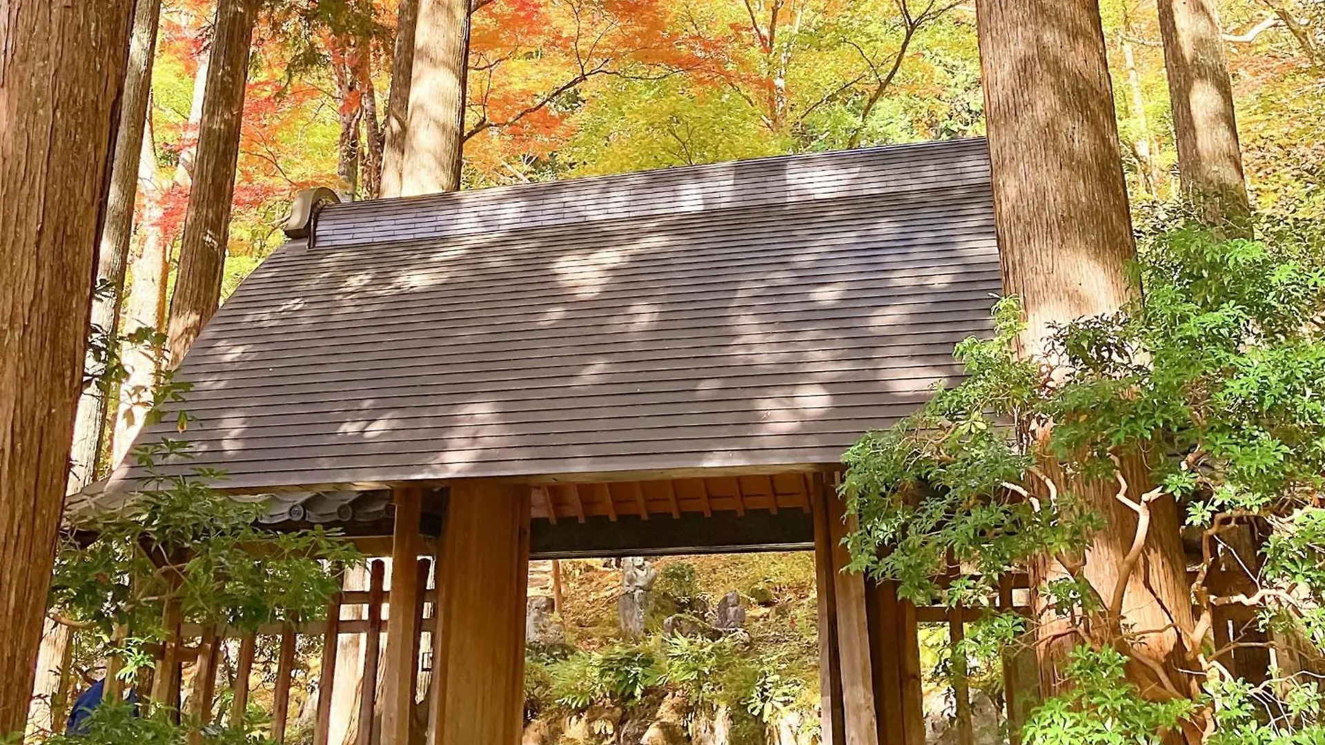 Hakone Doma - Vacation Stay 50247V Japonya